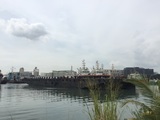 文章附图